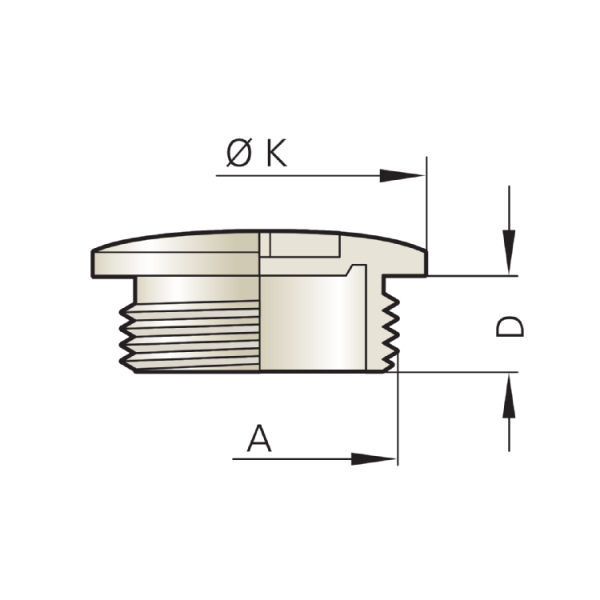 K22_Bli_POL_R_M_O_Illu_A